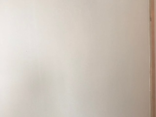墙、顶面乳胶漆