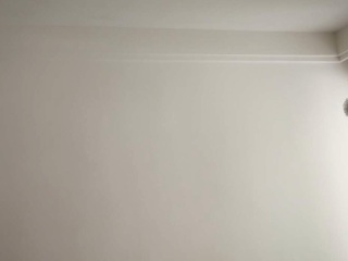 墙、顶面乳胶漆