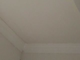 墙、顶面腻子批嵌