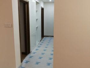 真华路388弄