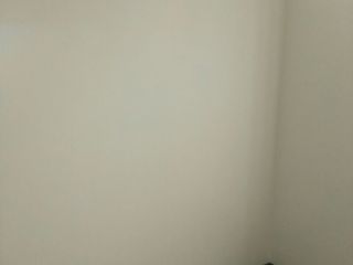 墙、顶面腻子批嵌