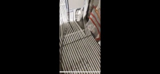 强、弱电路穿线施作