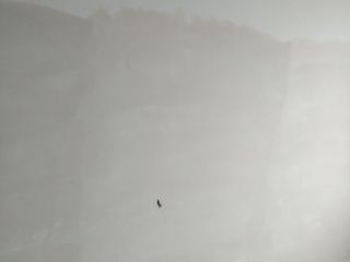 日常巡检