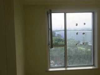安装工程 验收