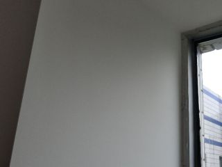 墙、顶面乳胶漆