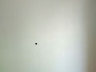墙、顶面腻子批嵌