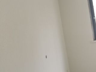 墙、顶面乳胶漆