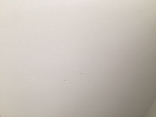 现场木制品造型施作