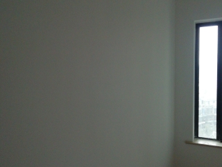 墙、顶面腻子批嵌