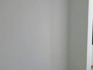 墙、顶面乳胶漆