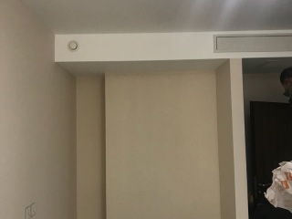 墙、顶面乳胶漆