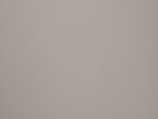 墙、顶面腻子批嵌