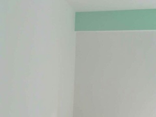 墙、顶面乳胶漆