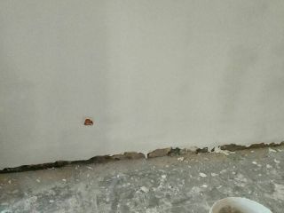 墙、顶面腻子批嵌