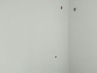 墙、顶面乳胶漆