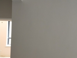 墙、顶面乳胶漆