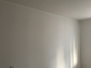 墙、顶面腻子批嵌