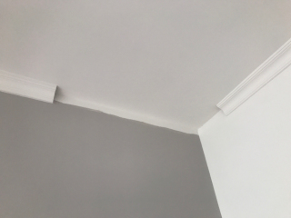 墙、顶面腻子批嵌