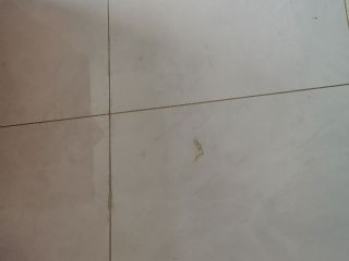 泥木工程 验收