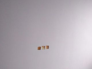 墙、顶面乳胶漆