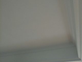 墙、顶面乳胶漆