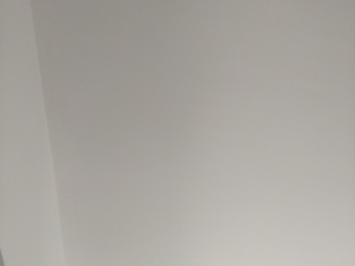 墙、顶面乳胶漆
