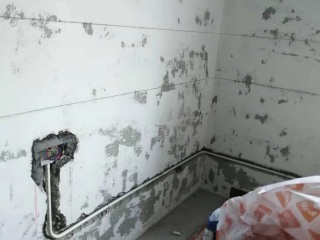 日常巡检