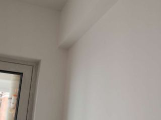 墙、顶面乳胶漆