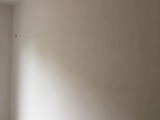 墙、顶面腻子批嵌