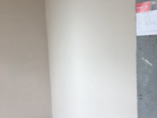 墙、顶面乳胶漆