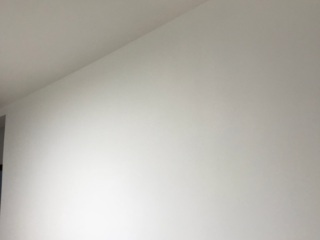 墙、顶面腻子批嵌