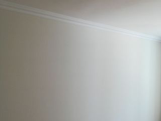 墙、顶面乳胶漆