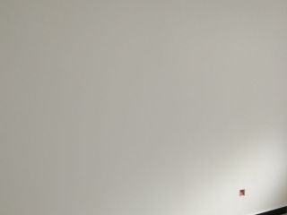 墙、顶面乳胶漆