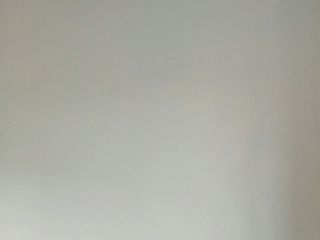 墙、顶面腻子批嵌