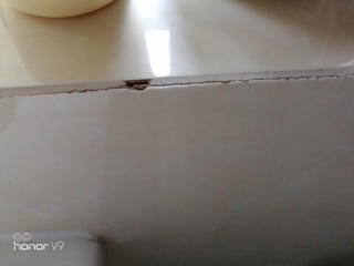 日常巡检