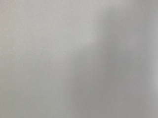 墙、顶面腻子批嵌