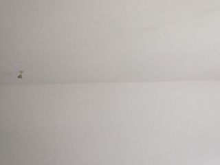 墙、顶面腻子批嵌