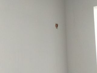 油漆工程 验收