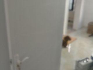 成品门及墙纸铺贴