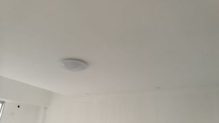 墙、顶面乳胶漆