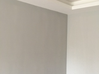 墙、顶面乳胶漆