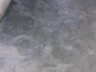 墙、顶面腻子批嵌