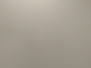 墙、顶面腻子批嵌