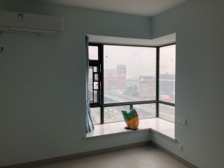 墙、顶面乳胶漆