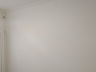 现场木制品造型施作