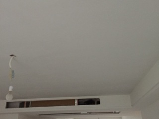 墙、顶面腻子批嵌