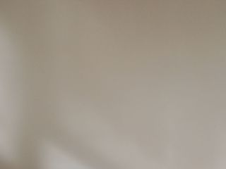 墙、顶面乳胶漆