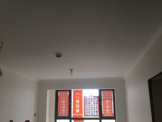 墙、顶面乳胶漆