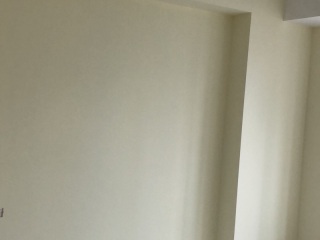 墙、顶面乳胶漆