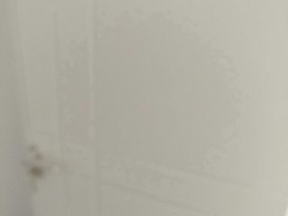 成品门及墙纸铺贴